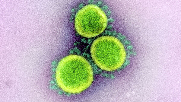 Ученые РАН предложили новый способ создания вакцины от коронавируса