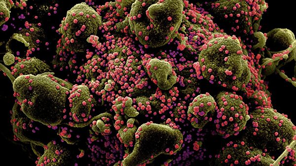 Ученые РАН предложили новый способ создания вакцины от коронавируса